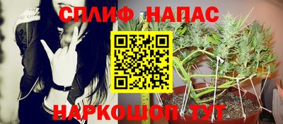 каннабис Кингисепп