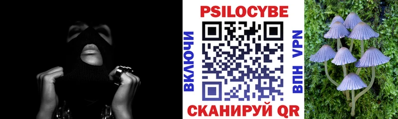 мориарти телеграм  Вологда  Галлюциногенные грибы прущие грибы 