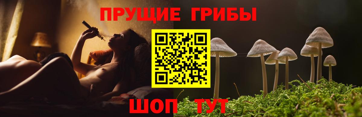 Вологда  Галлюциногенные грибы MAGIC MUSHROOMS  Псилоцибиновые грибы Psilocybine cubensis  Вход с VPN 